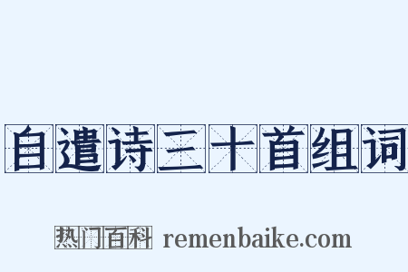 自遣诗三十首组词是什么意思的图片